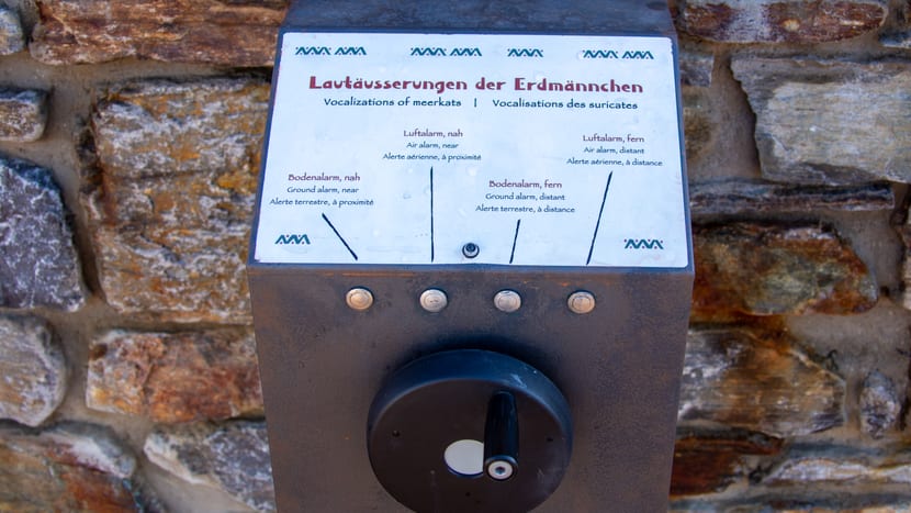 Foto: Zoo Zürich, Rita Schlegel Edukationselement bei der Erdmännchenanlage in der Lewa Savanne.