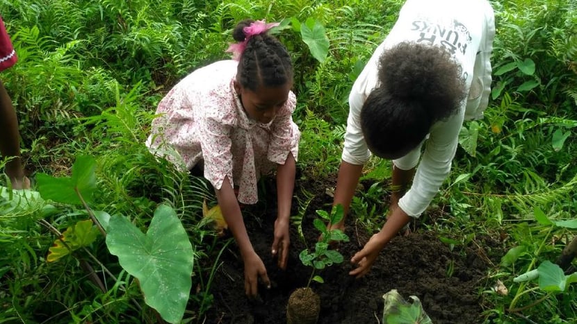 Foto: WCS/Najoro Raharimalala Wiederaufforstung, Open Classroom