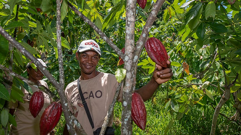 Kakao Madagaskar