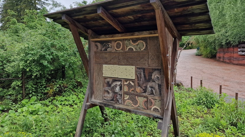 Hôtel pour abeilles sauvages à côté de l'habtiat de l'Australie au Zoo de Zurich.