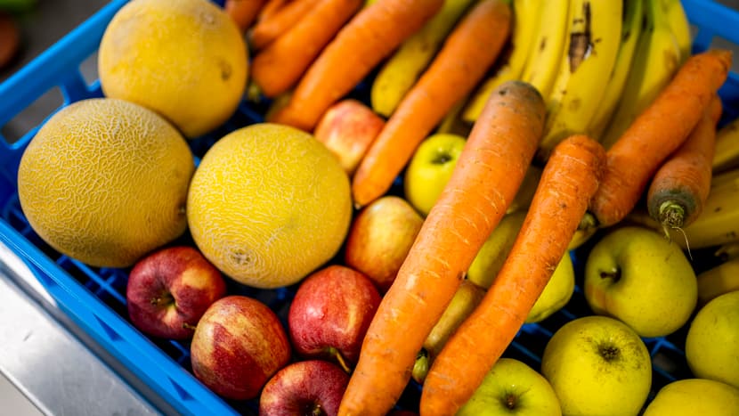 Melonen, Karotten, Äpfel und Bananen, die Futtermenge für einen Tag.    