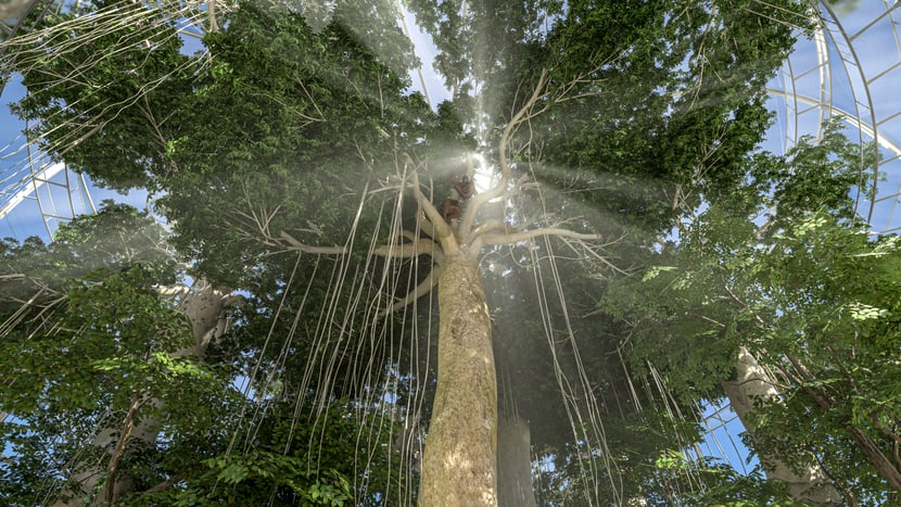 Visualisierung Sumatra Regenwald im Entwicklungsplan 2050 des Zoo Zürich.