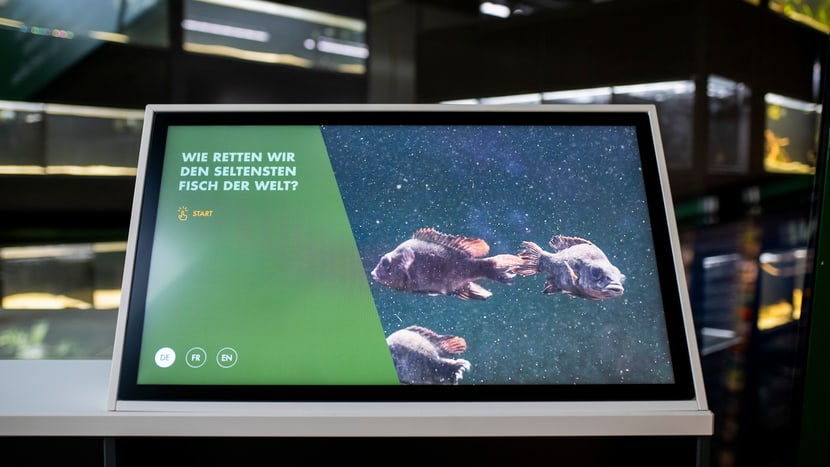 Informationsscreen Fische Forschungsstation