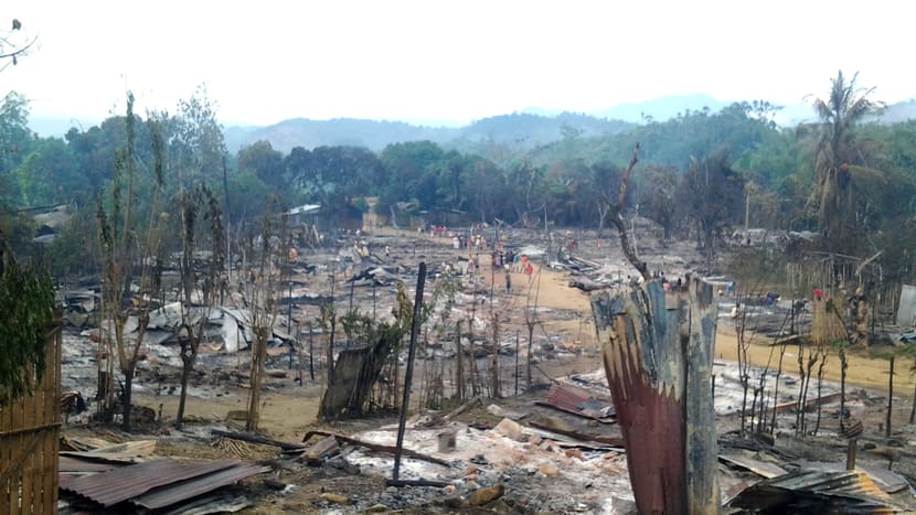 Foto: Madagascar Fauna and Flora Group Feuer in Ambodirafia