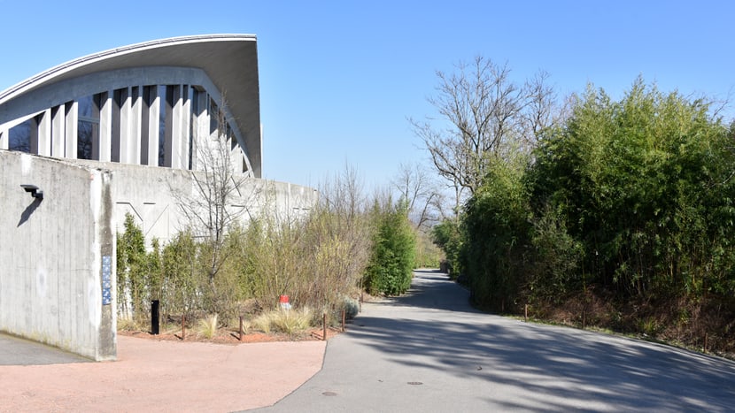 Zoo Zürich im März 2020, für die Besucher aufgrund der Covid-19-Pandemie geschlossen.