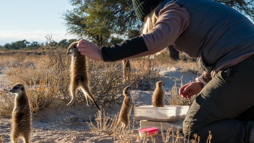 Forscherin im Kalahari Research Centre in Südafrika.