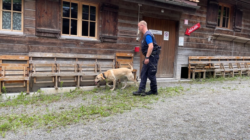 Ein Artenschutzspürhund beim Training in Interlaken.