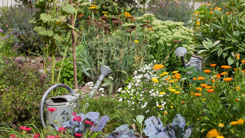 Image symbolique du jardinage.