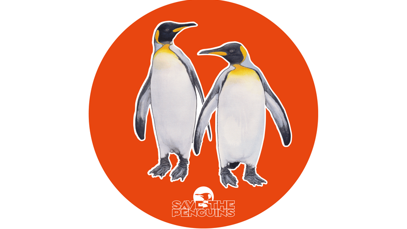 Scan-Grafik Königspinguin für die App "Save the Penguins"