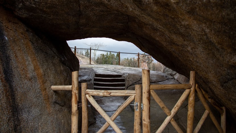 Foto: Zoo Zürich, Rita Schlegel VIP-Ausblick in den Kopjefelsen.