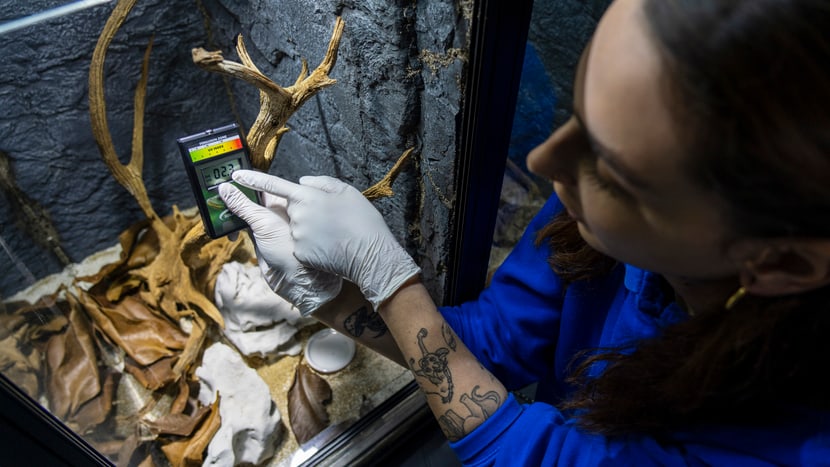 An animal keeper checks the temperature in the research station. 