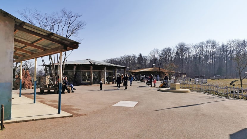 Foto: Zoo Zürich, Sandro Schönbächler Tag der Zoo-Wiedereröffnung am 1.3.2021.