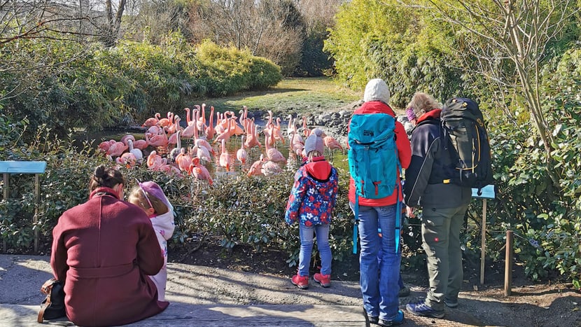 Tag der Zoo-Wiedereröffnung am 1.3.2021.