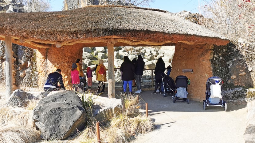 Foto: Zoo Zürich, Sandro Schönbächler Tag der Zoo-Wiedereröffnung am 1.3.2021.