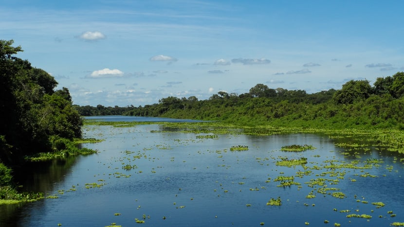 Spendenobjekt Pantanal Voliere Riesenotter-See