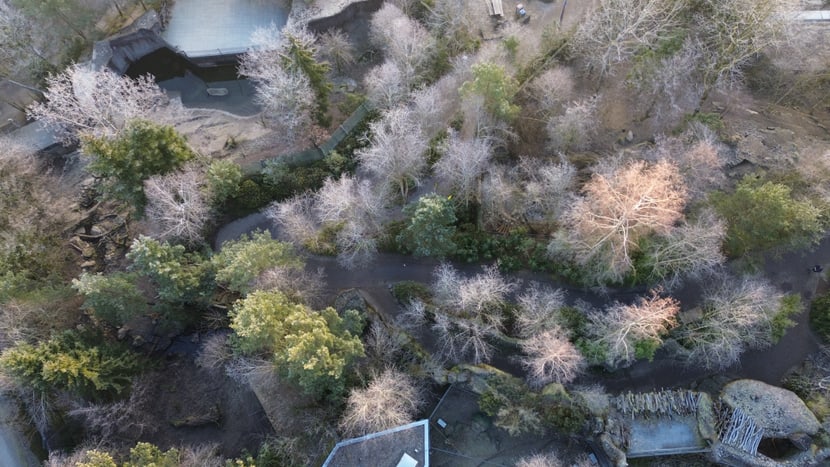 Drohnenaufnahme Standort Panterra.