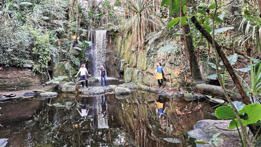 Aufnahmen für die Jerusalema-Tanzchallenge im Masoala Regenwald.