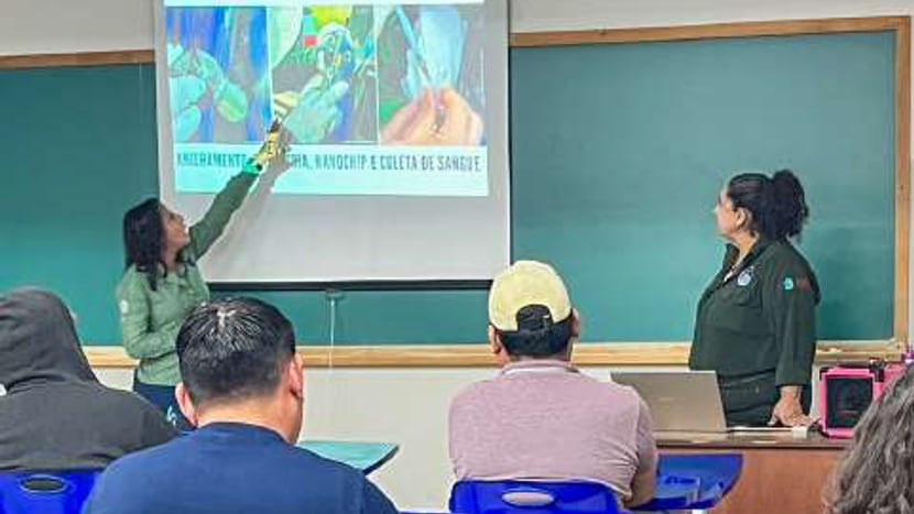 Umweltbildung des Instituto Arara Azul mit der lokalen Bevölkerung in Brasilien.