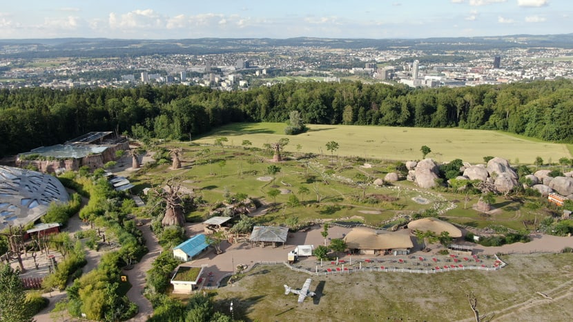 Die Lewa Savanne im Zoo Zürich aus der Vogelperspektive. 