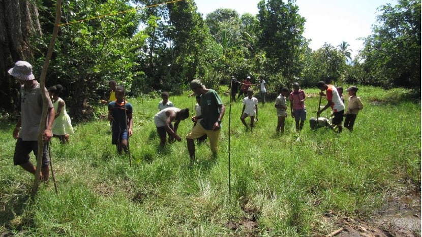 Open Classroom student s learn about Mangroves