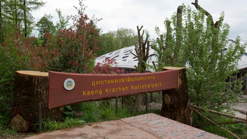 Szenografie im Kaeng Krachan Elefantenpark.