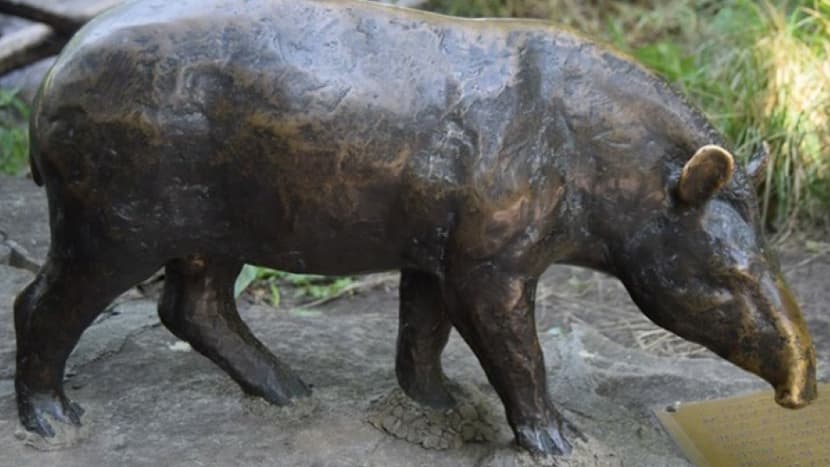 Spendenobjekt Pantanal Voliere Bronze-Tiere