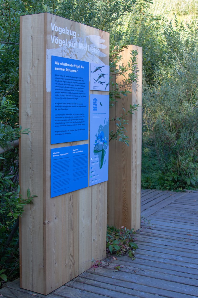 Ausstellung Vogelwiese im Zoo Zürich.