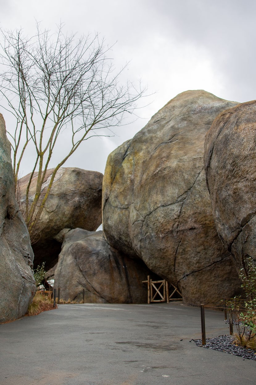 Kopjefelsen in der Lewa Savanne im Zoo Zürich.