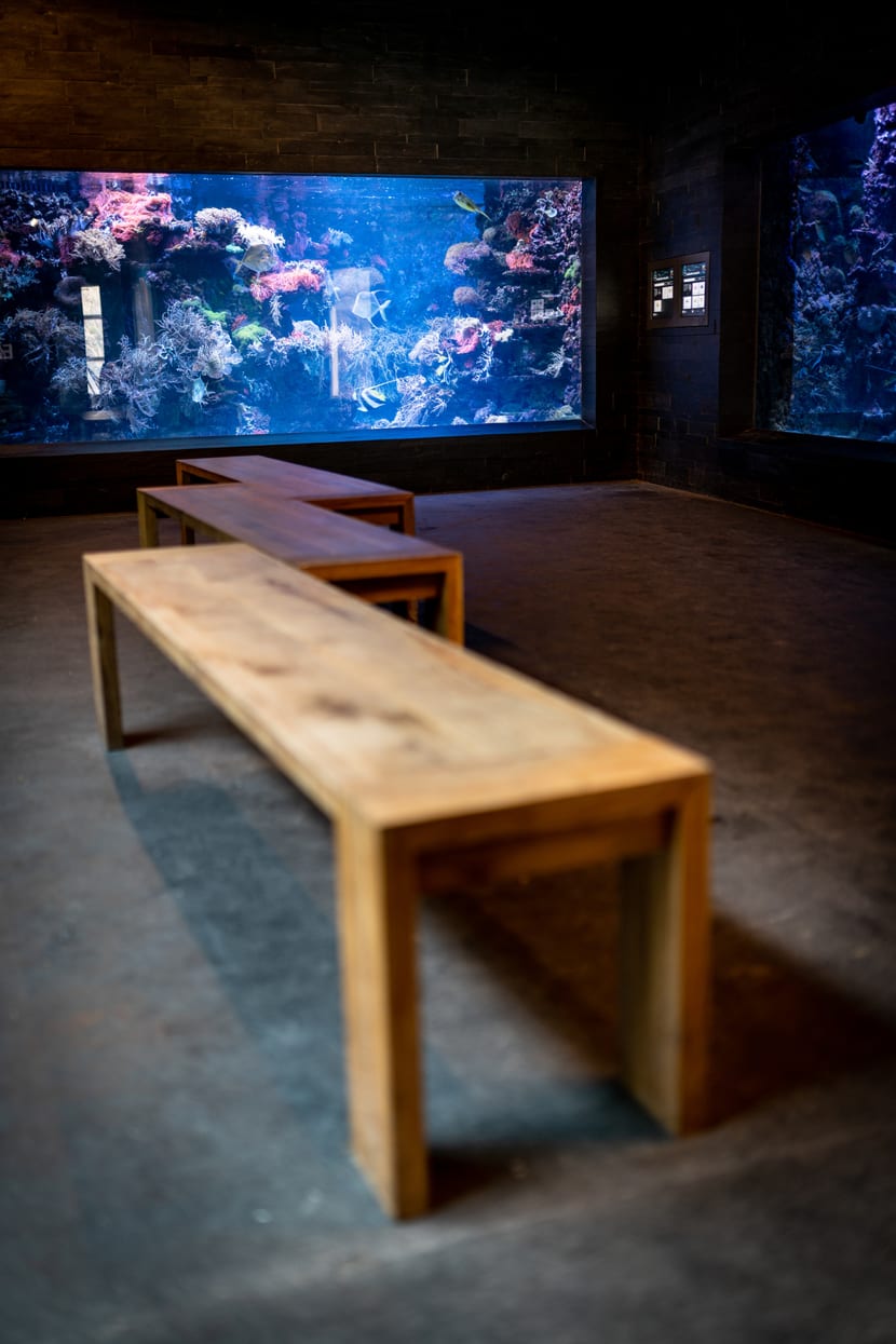 Foto: Zoo Zürich, Marco Schaffner Zoo Zürich im März 2020, für die Besucher aufgrund der Covid-19-Pandemie geschlossen.