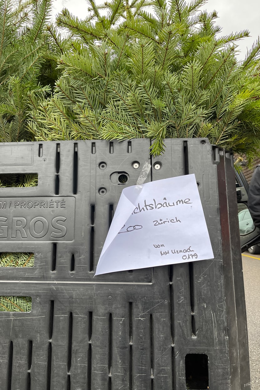 Foto: Zoo Zürich, Rita Schlegel Unverkaufte und unbehandelte Christbäume für die Tiere des Zoo Zürich.