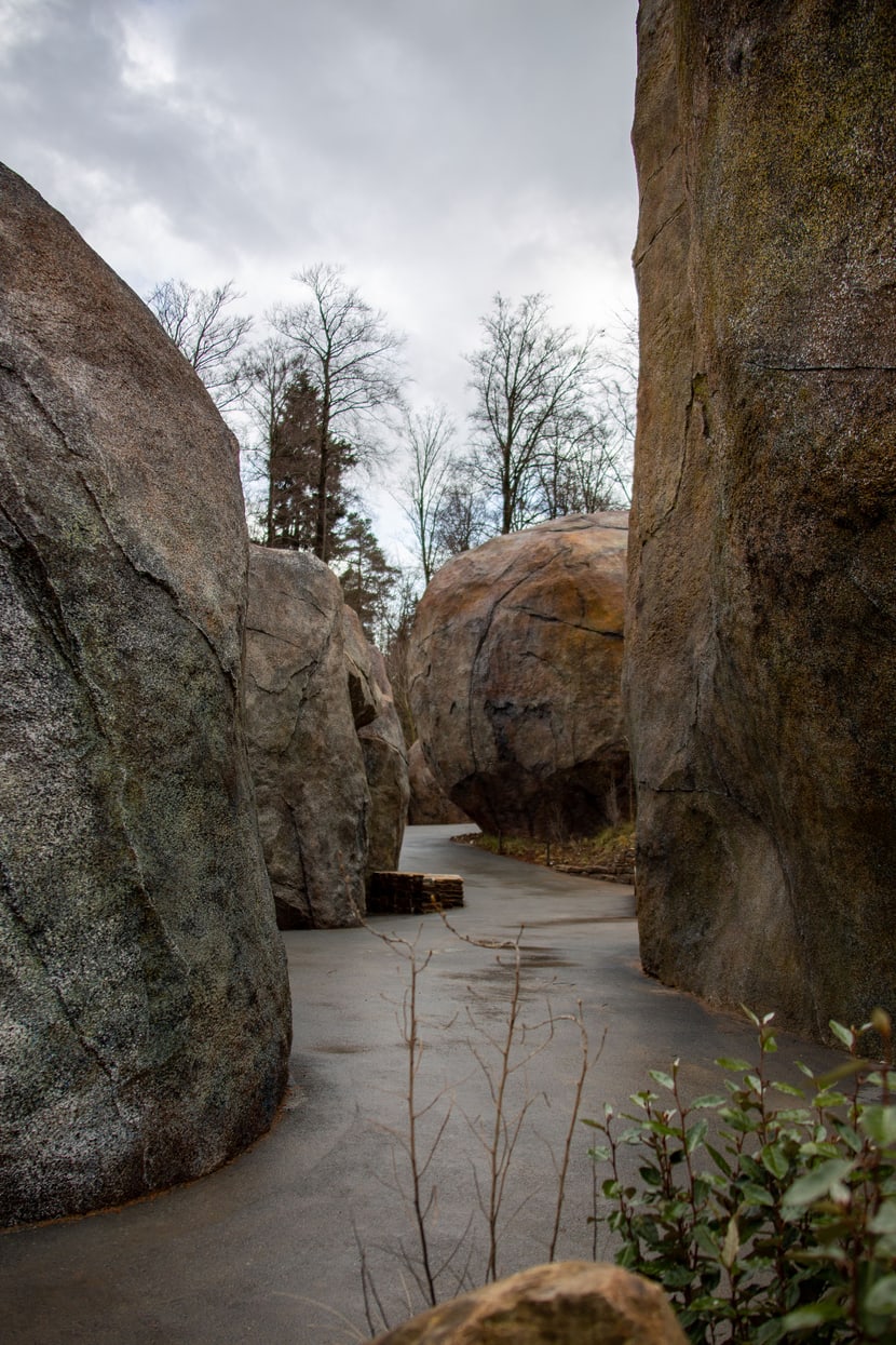 Kopjefelsen in der Lewa Savanne im Zoo Zürich.