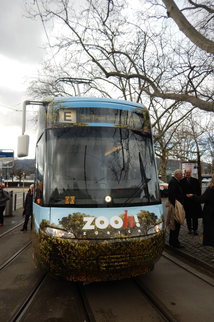 Foto: Zoo Zürich, Martin Bratteler Zoo-Sondertram Lewa Savanne am Bellevue.