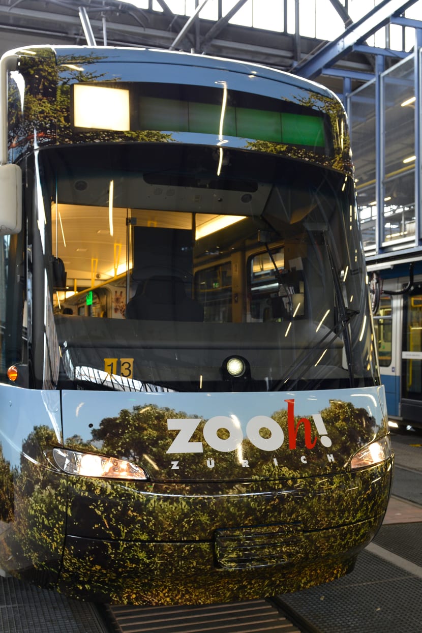 Foto: Zoo Zürich, Sandro Schönbächler Zoo-Sondertram Lewa Savanne im VBZ-Depot.