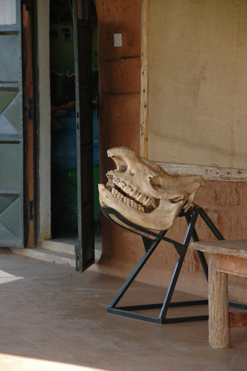 Foto: Zoo Zürich, Isabelle Steiner Lewa-Bildungszentrum im LWC in Kenia.