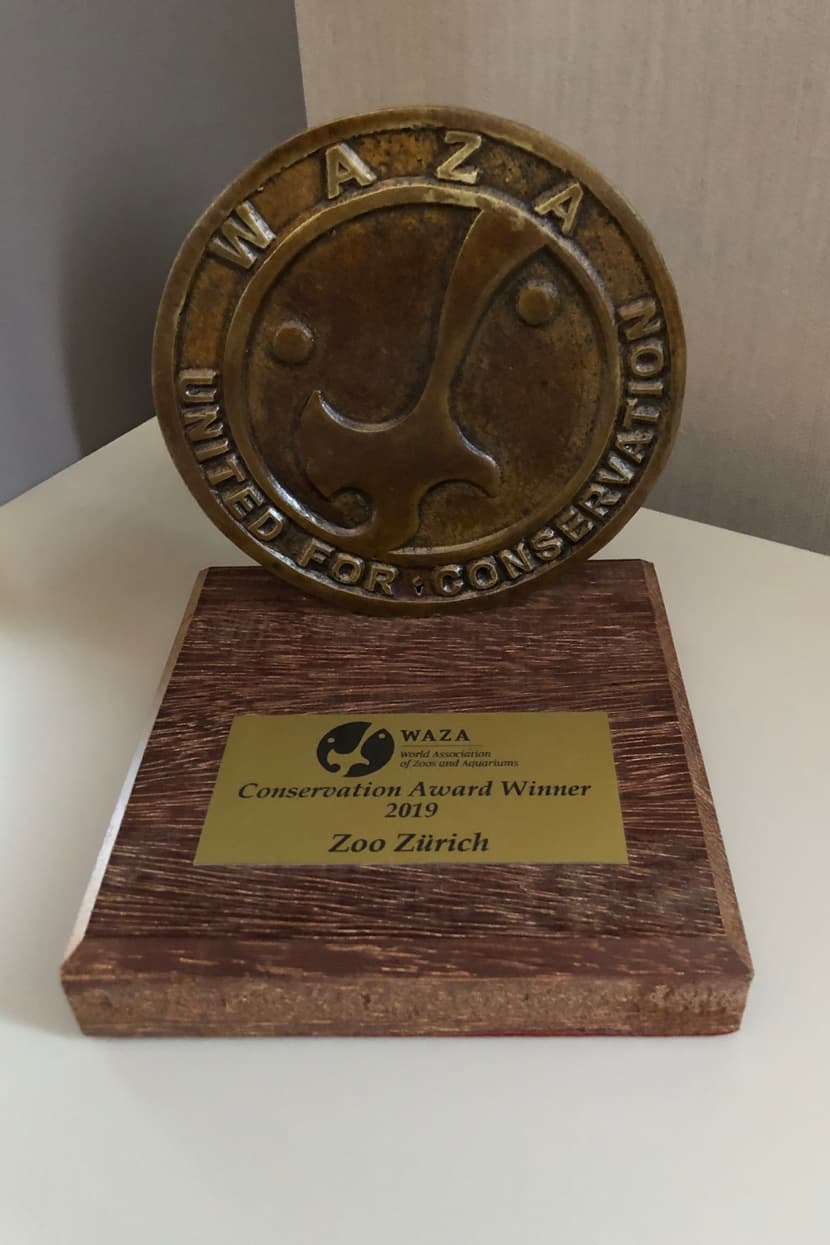 Waza Conservation Award 2019.