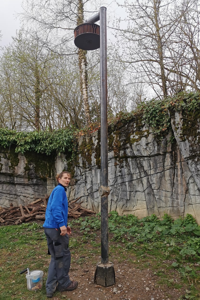 Foto: Zoo Zürich, Sandro Schönbächler Tierpflegerin Beatrice Engeler befüllt den Schüttelbaum im Sangay Bergnebelwald des Zoo Zürich.