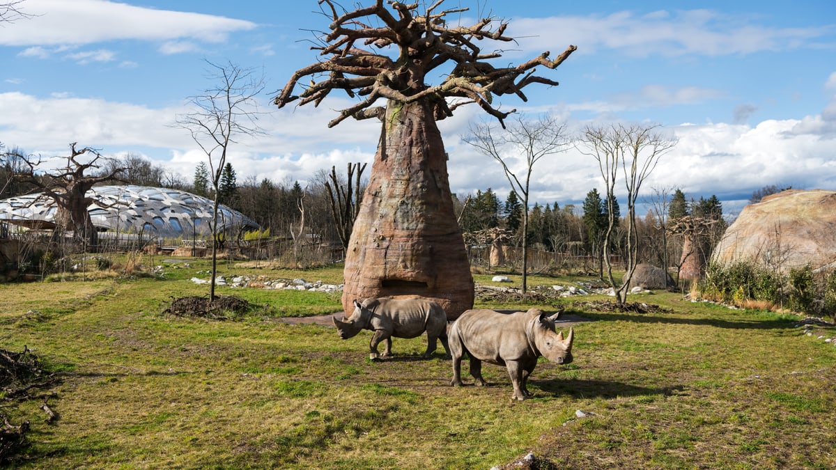 migros gutschein zoo zürich