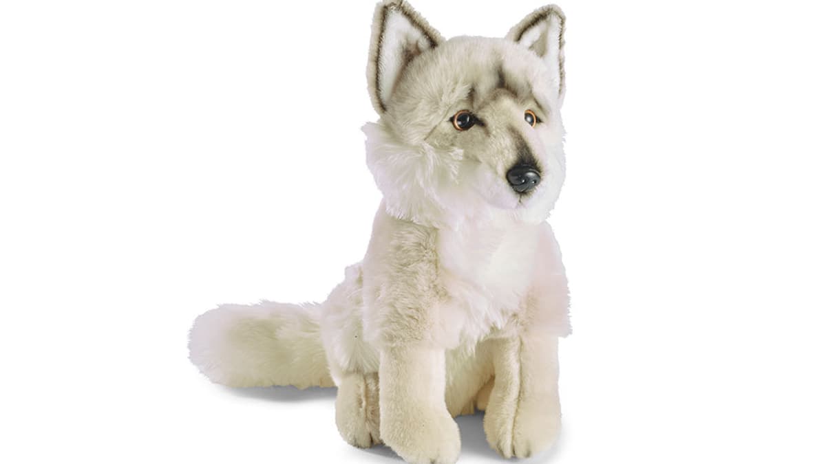 White best sale wolf teddy