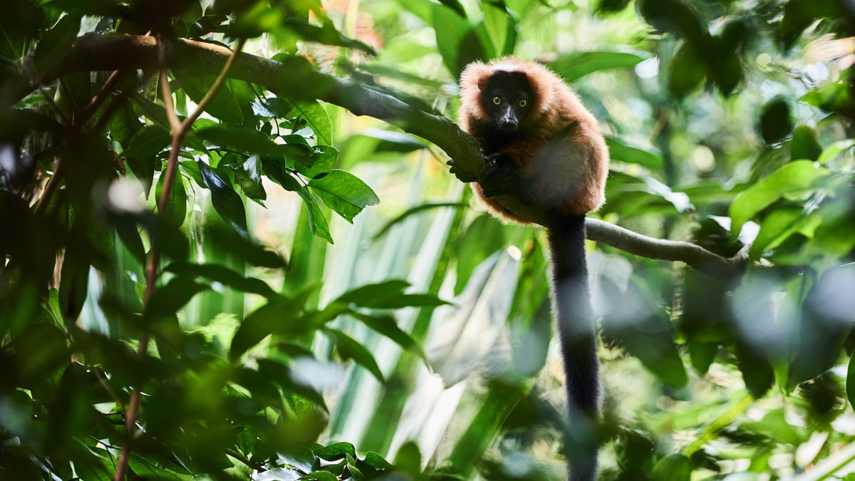 zoo zürich öffnungszeiten